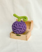 One Piece Devil Fruit Gomu Gomu No Mi